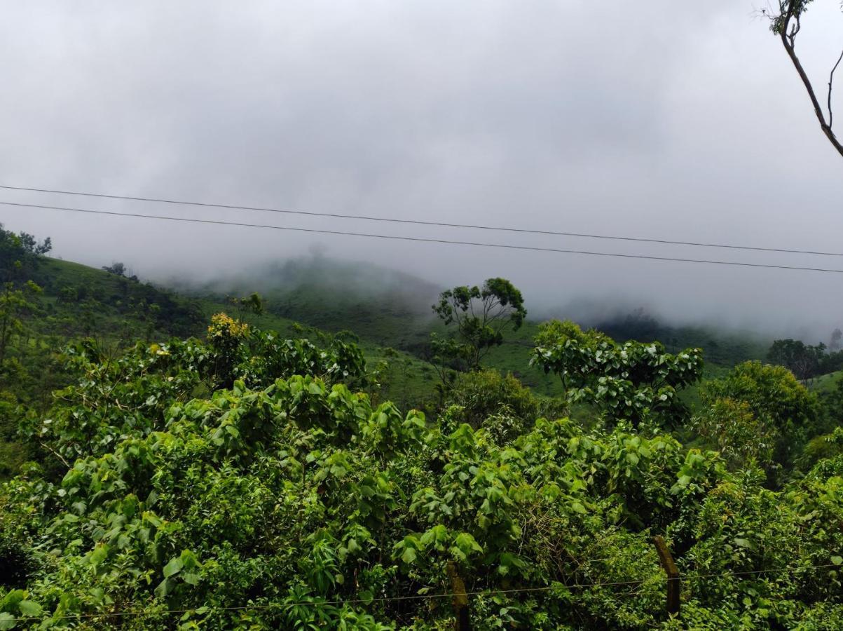Winter Woods Appartement Vagamon Kamer foto