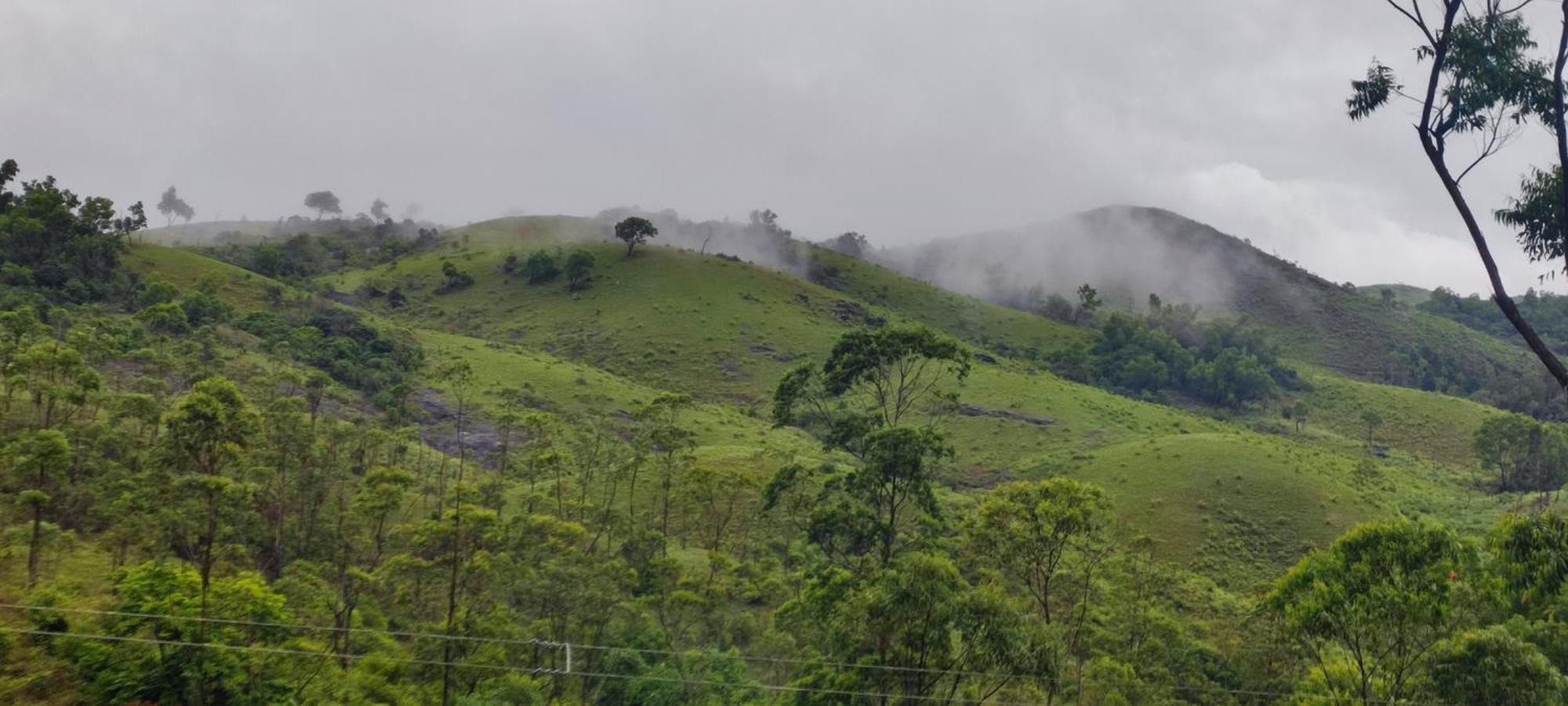 Winter Woods Appartement Vagamon Kamer foto