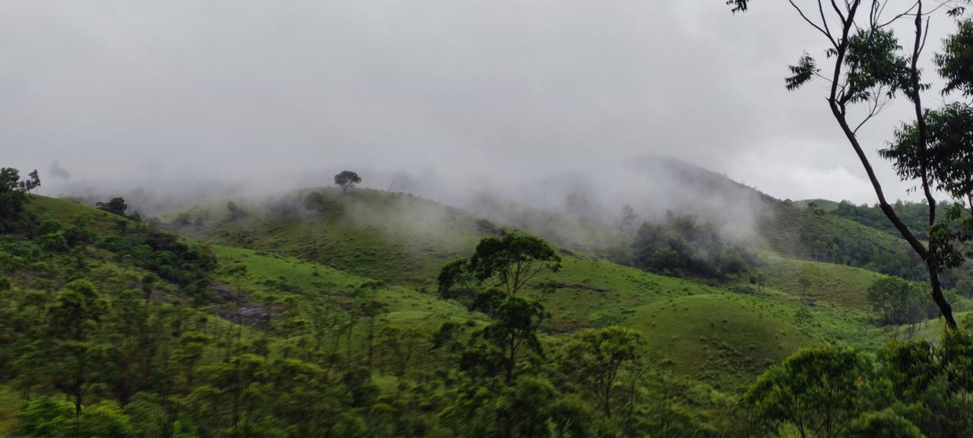 Winter Woods Appartement Vagamon Kamer foto